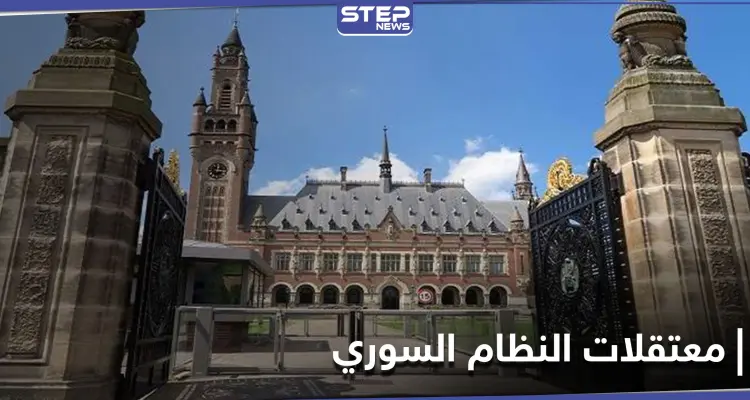 أم هولندية تقاضي حكومة بلادها في محكمة "لاهاي" بسبب النظام السوري: أخبار