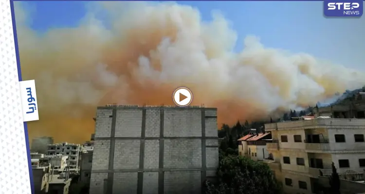 بالفيديو|| النيران تحاصر الغابات... حرائق سوريا تلتهم المزيد بمعقلين للأسد تزامناً مع انتفاضة شعبية: أخبار