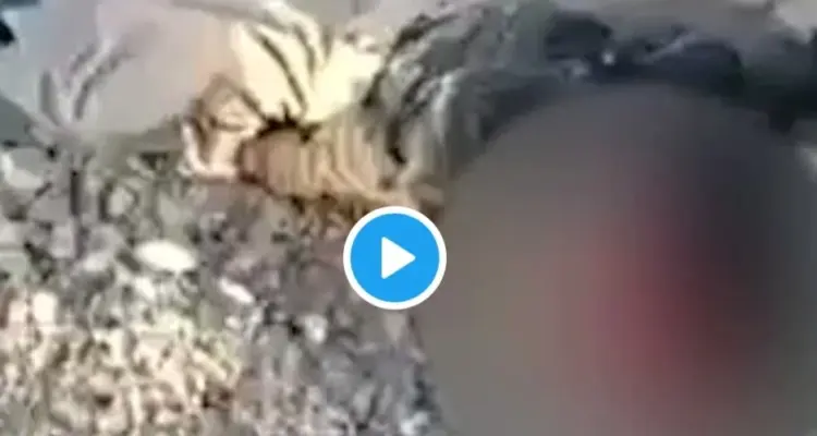 بالفيديو|| ميليشيا الحوثي تقتل طفلاً أثناء إحضاره الماء لأسرته.. والإرياني يكشف حصيلة استهداف منزل زعيم قبلي: أخبار