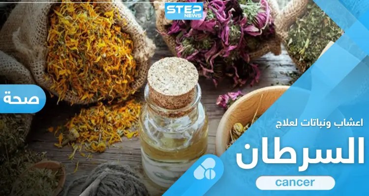 أعشاب ونباتات مستعملة في علاج مرض السرطان وأخرى يحذّر منها: أخبار