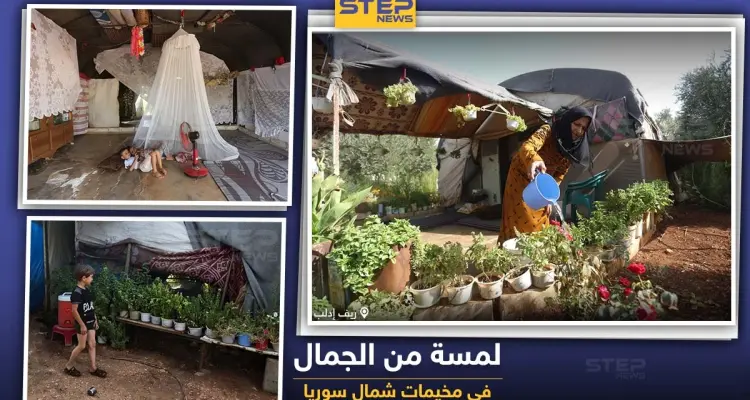 لمسة من الجمال في مخيمات الشمال السوري: أخبار