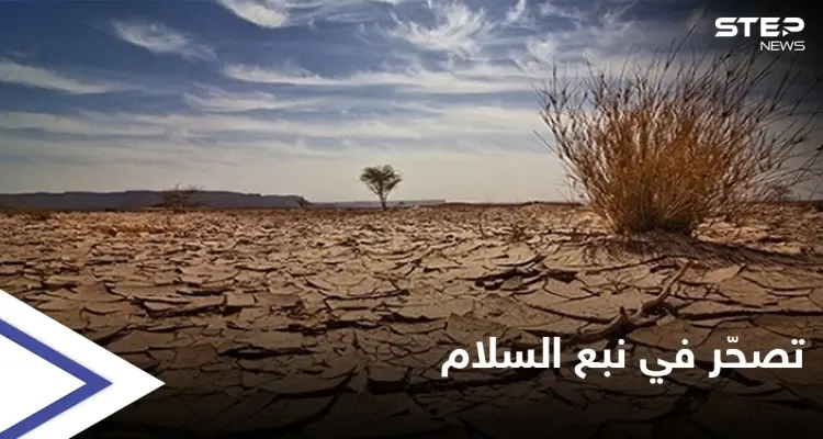 أزمة وقود تعطّل الأفران وتهدد محاصيل زراعية في مناطق "نبع السلام" شمال سوريا: أخبار