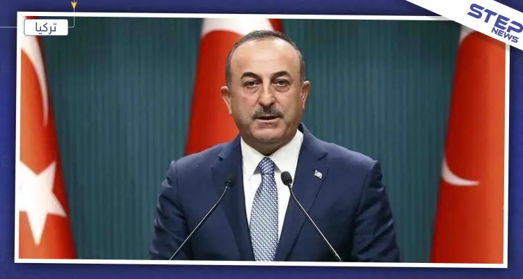 وزير الخارجية التركي: المنطقة الآمنة ستنقذ مستقبل سوريا السياسي: أخبار