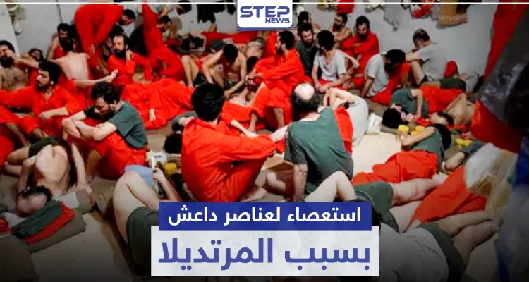 بسبب المرتديلا.. استعصاء عناصر تنظيم "داعش" في سجن الصناعة بالحسكة: أخبار