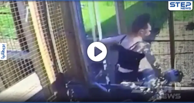 بالفيديو|| أسد جبلي ينقّض على فتاة دخلت قفصه ويدخلان بمعركة حياة أو موت: أخبار