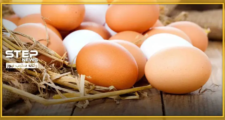 معلومة طبّية هامّة.. تناول البيض يومياً له مخاطر قد تؤدي للموت: أخبار