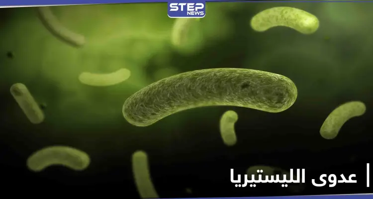 أخطر أنواع العدوى على الأجنة ومرضى السرطان.. تعرف إلى آفة الليستيريا القاتلة وعلاقتها بالحليب ومشتقاته: أخبار