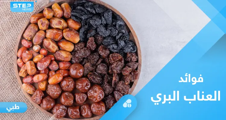 العناب البري.. فوائد صحية لا تحصى تعرف عليها: أخبار