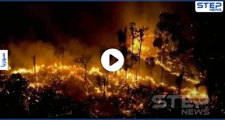 بالفيديو والصور|| الساحل يشتعل.. حرائق الغابات السورية تلتهم الأخضر واليابس بفعل مجهول والنظام عاجز: أخبار