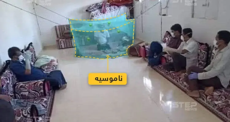 الحجر الصحي بالناموسية!: أخبار