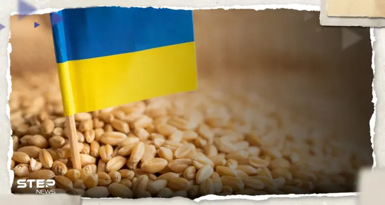 أوكرانيا تتفق مع جيرانها على ممر تجاري جديد لنقل الحبوب للعالم: أخبار