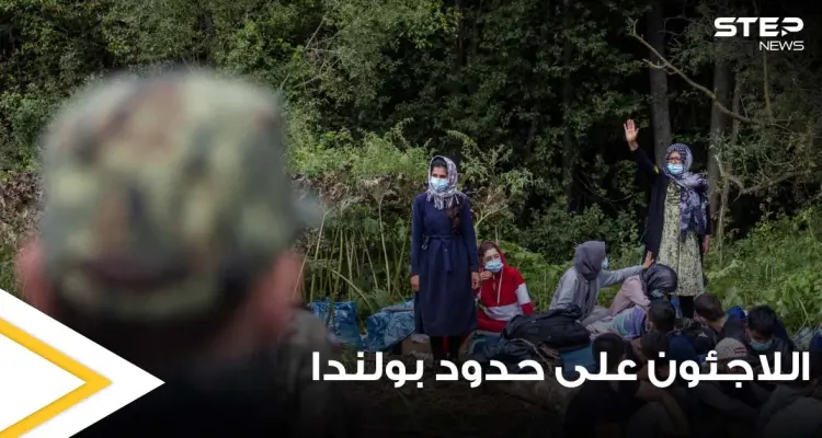 "يغتصبون الأبقار".. أزمة حقيقة يعيشها اللاجئون على حدود بولندا واتهامات تجاوزت الحد: أخبار
