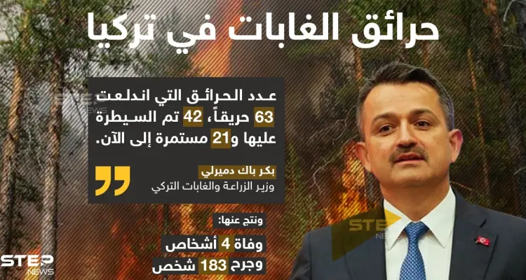 حرائق الغابات في تركيا: أخبار