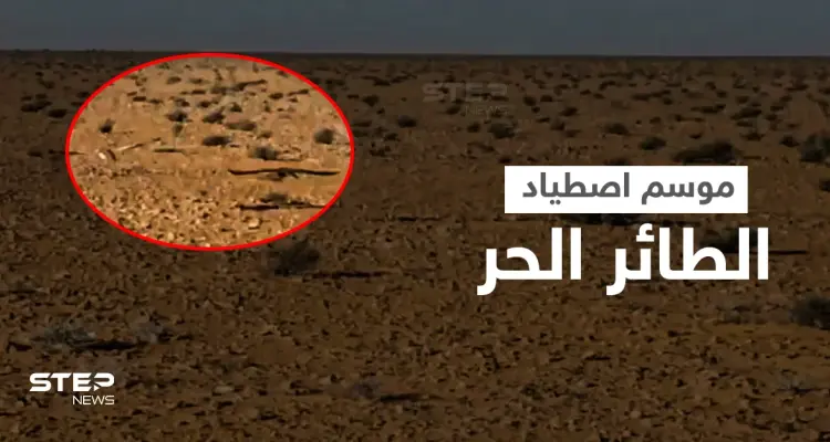 بالفيديو || كيف يُصطاد الطائر الحر في بادية الشامية بريف الرقة: أخبار