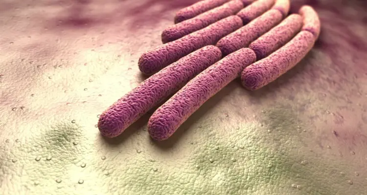 الأردن يعلن اكتشاف جرثومة معدية جداً تسببت بحالات تسمم في جرش ويؤكد السيطرة على الوضع: أخبار