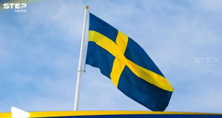 السويد تطور نظاماً مضاداً للطائرات المسيّرة لمواجهة تهديدات الـFPV: أخبار