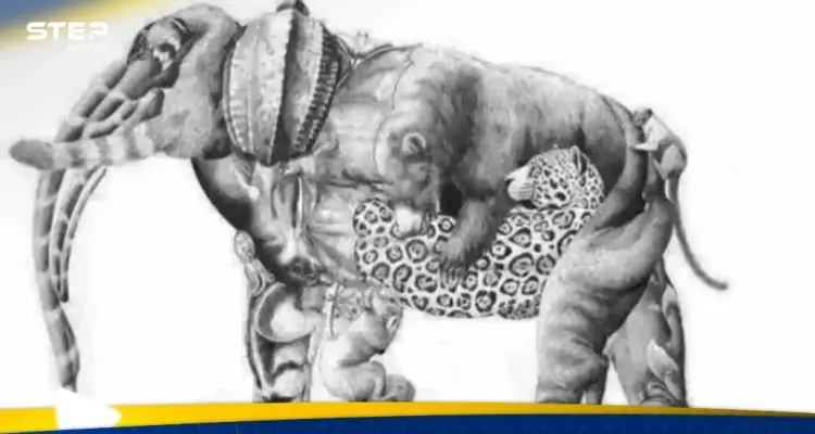 كم حيواناً تراه في الصورة؟.. اللغز يحدد ما إذا كان تركيزك جيداً أم لا: أخبار