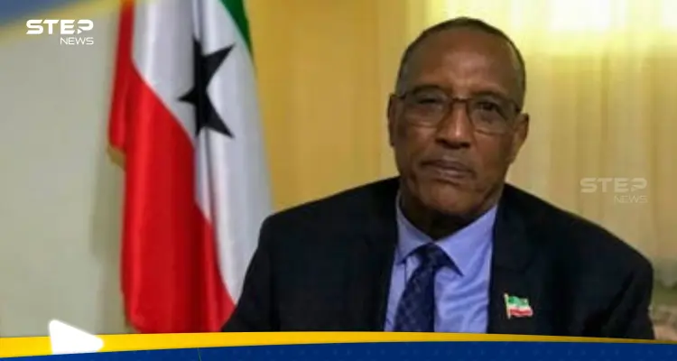 زعيم "أرض الصومال" يتحدى التهديدات المصرية ويعلن المضي بإقامة قاعدة لإثيوبيا: أخبار