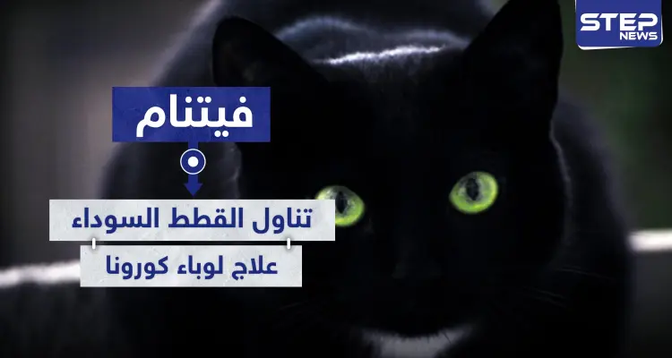 فيتنام تتجه لأكل القطط السوداء ظنًا أنها تعالج المصابين بفيروس كورونا: أخبار