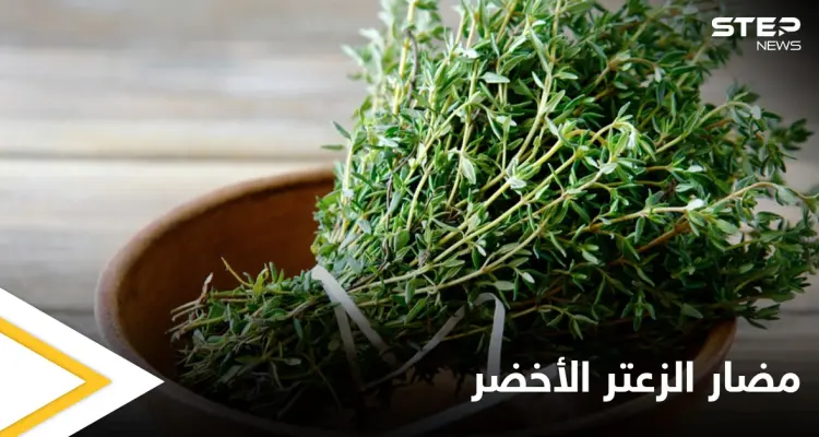 قد يؤدي إلى الإجهاض.. تعرف على مضار الزعتر الأخضر على المرأة الحامل: أخبار