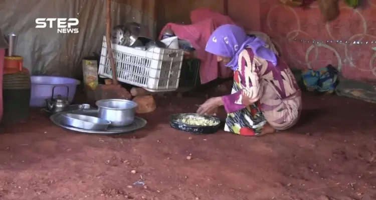 شاهد كفاح وصبر "أم عويد" من أجل تأمين مصدر رزق لأبنائها بعد أن هجرتها طائرات الأسد وأرهقها النزوح: أخبار