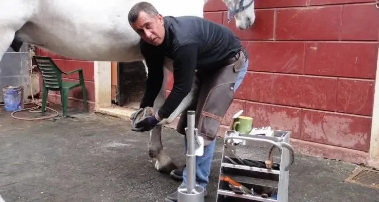 "شركسي" سوري أحد ضحايا مجزرة مسجد نيوزيلندا، فمن هو؟!: أخبار