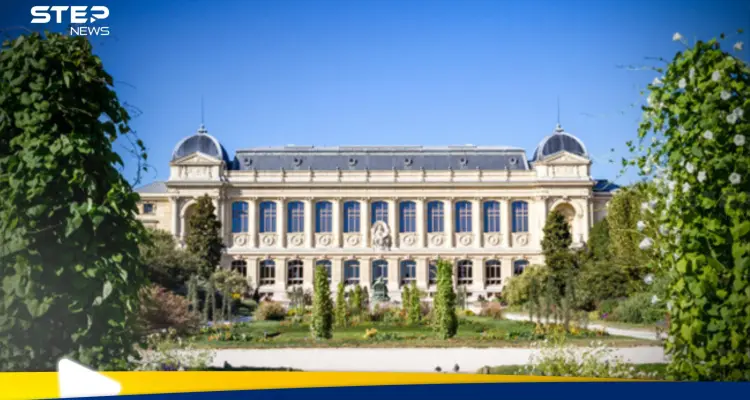 بسبب ثغرة أمنية.. سرقة ذهب بمئات آلاف الدولارات من متحف فرنسي: أخبار