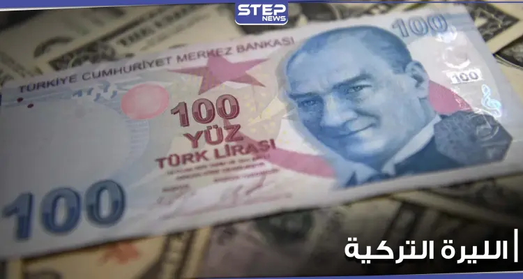 بعد الهبوط الحادة لـ الليرة التركية.. محلل استراتيجي يؤكد أن تركيا "أمام خيارين": أخبار