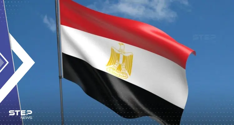 انتبهوا من هذه الألوان.. مصر تصدر تعليمات تتعلق بتصرفات تجذب القروش: أخبار