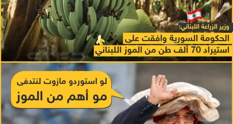 الاستيراد المناسب في الزمان المناسب?: أخبار