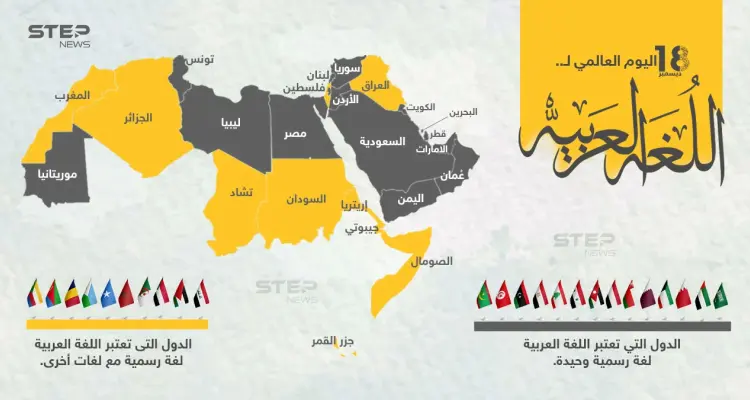 في اليوم العالمي للغة العربية، تعرّف على الدول التي تعتمدها لغة رسمية أو  لغة ثانية.: أخبار