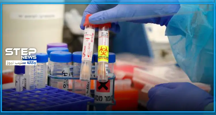 "كورونا" يطور نفسه.. اكتشاف 6 أشقاء له وآلاف الأنواع من سلالته "التاجية" بهذا الحيوان: أخبار