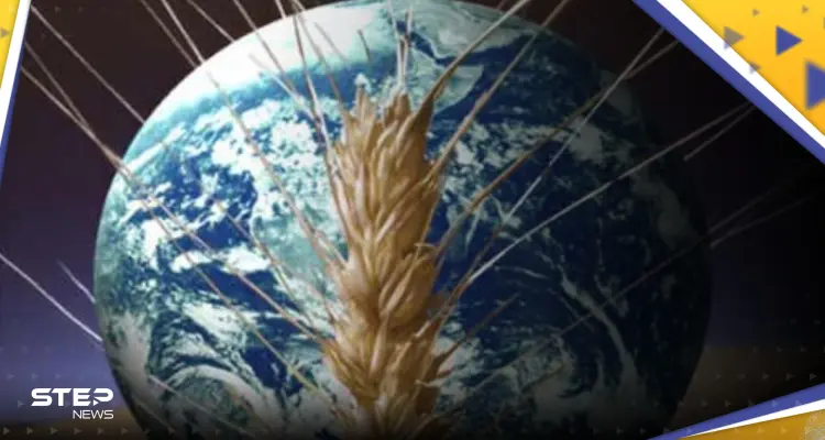 مركز عالمي لتصدير الحبوب في مصر.. روسيا تتحدث عن حل لمشكلة الأزمة الغذائية: أخبار