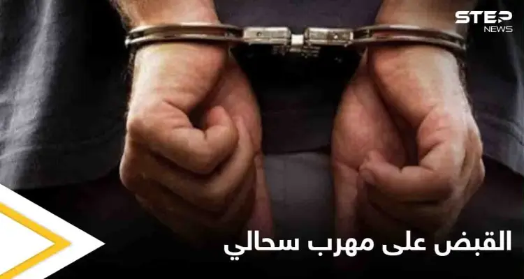 رجل يحاول تهريب 200 سحلية إلى مصر بطريقة غريبة: أخبار