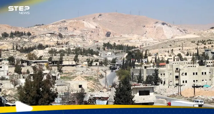 ضاحية حرستا.. من الامتياز العسكري إلى واقع دمشق المرهق: أخبار