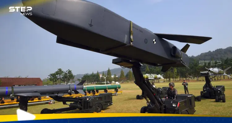 صواريخ توروس لن تصل أوكرانيا بعد "الفضيحة" الألمانية.. ما قدراتها؟: أخبار