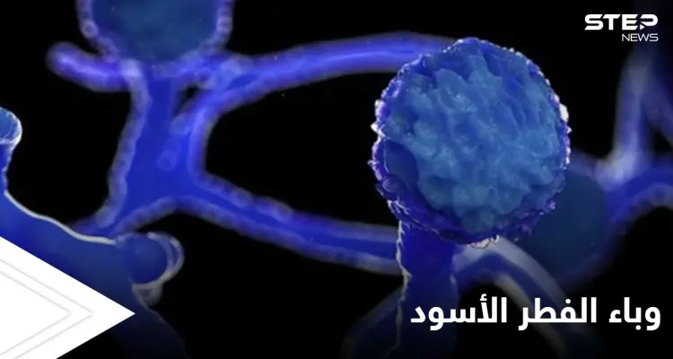 مخاوف من الفطر الأسود.. والصحة العالمية تحذر دولة عربية من وصول المتحور الهندي إليها: أخبار
