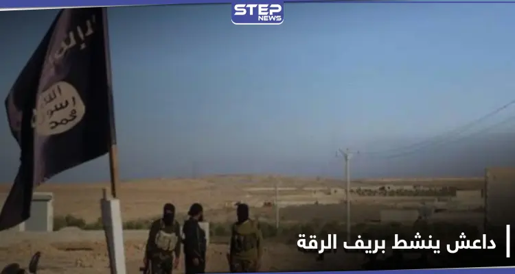 ريف الرقة الشرقي يبتلع عناصر الميليشيات الرديفة.. وللمدنيين نصيب من هجمات "داعش": أخبار