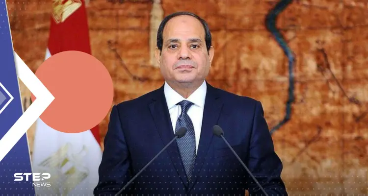 السيسي: لبيت نداء المصريين وعقدت العزم على الترشح لولاية جديدة: أخبار