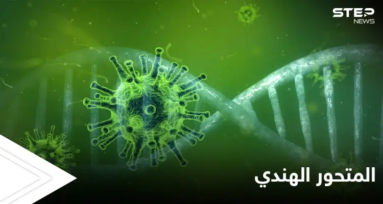 المتحور الهندي يصل لعدد من الدول العربية.. ومسؤول سوري هناك طريقتين لدخول الطفرة لبلدنا: أخبار