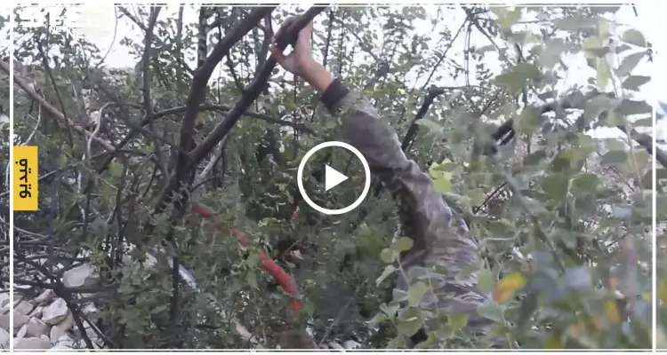 بالفيديو|| بأعوامه الـ13.. طفل سوري يعيل عائلتين من جمع الحطب!: أخبار