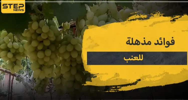 15 فائدة مذهلة لـ العنب .. تعرف عليها قبل أن يفوتك موسمها: أخبار