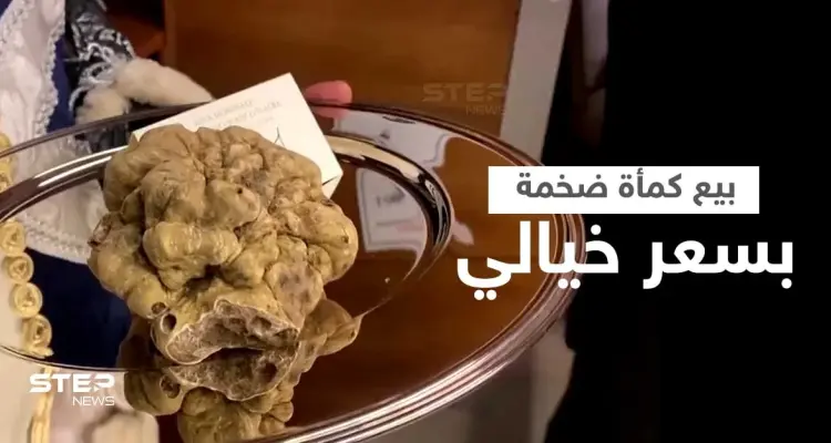 بالفيديو|| بيع كمأة ضخمة بسعر خيالي تجاوز مئة ألف دولار... من هو المشتري: أخبار