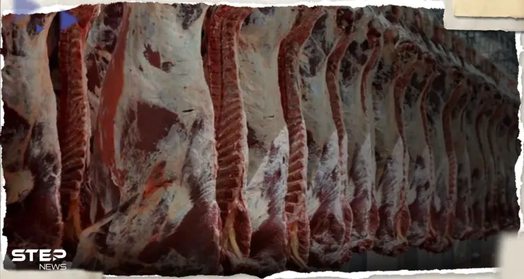 بمناسبة عيد الأضحى.. هيئة الغذاء والدواء تحدد 3 علامات دالة على فساد اللحوم: أخبار