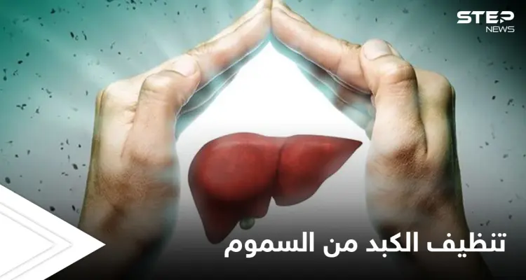 تنظيف الكبد من السموم.. تعرف على الأطعمة التي تساعد على أداء هذه العملية: أخبار