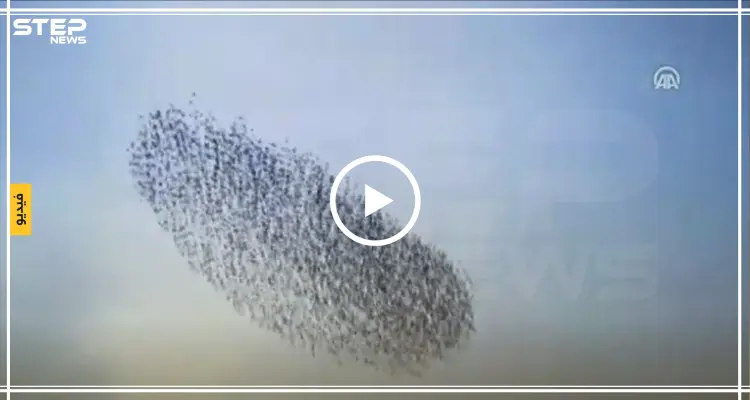 بالفيديو || أهالي أحد المدن التركية يستفيقون على هذا المشهد الذي غطى السماء: أخبار