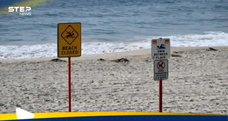 بعد احتفائها.. الكرات الغامضة تعود للظهور في أستراليا: أخبار