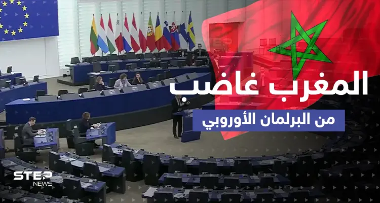 انتقاد من البرلمان الأوروبي يُغضب المغرب العربي.. الرباط اعتبرته "اتهاماً خطيراً": أخبار