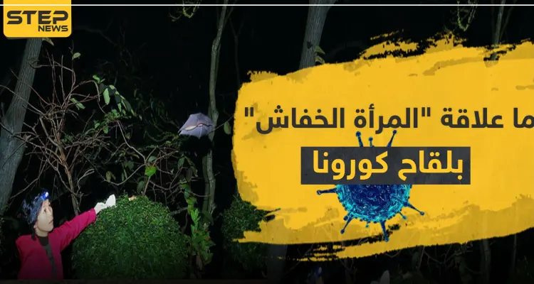 بالصور|| ما علاقة "المرأة الخفاش" بلقاح كورونا ولماذا الصين أسكتتها.. وعلماء يفجرون مفاجأة شهر أيلول لكورونا: أخبار