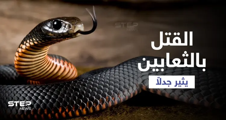 مجرمون يلجأون لـ "الثعابين" لقتل ضحاياهم يثيرون جدلاً بالهند والقضاء يفضح أمرهم ويتربص بهم: أخبار